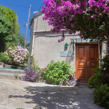 Maison Simonpietri Cagnano Dış mekan fotoğraf