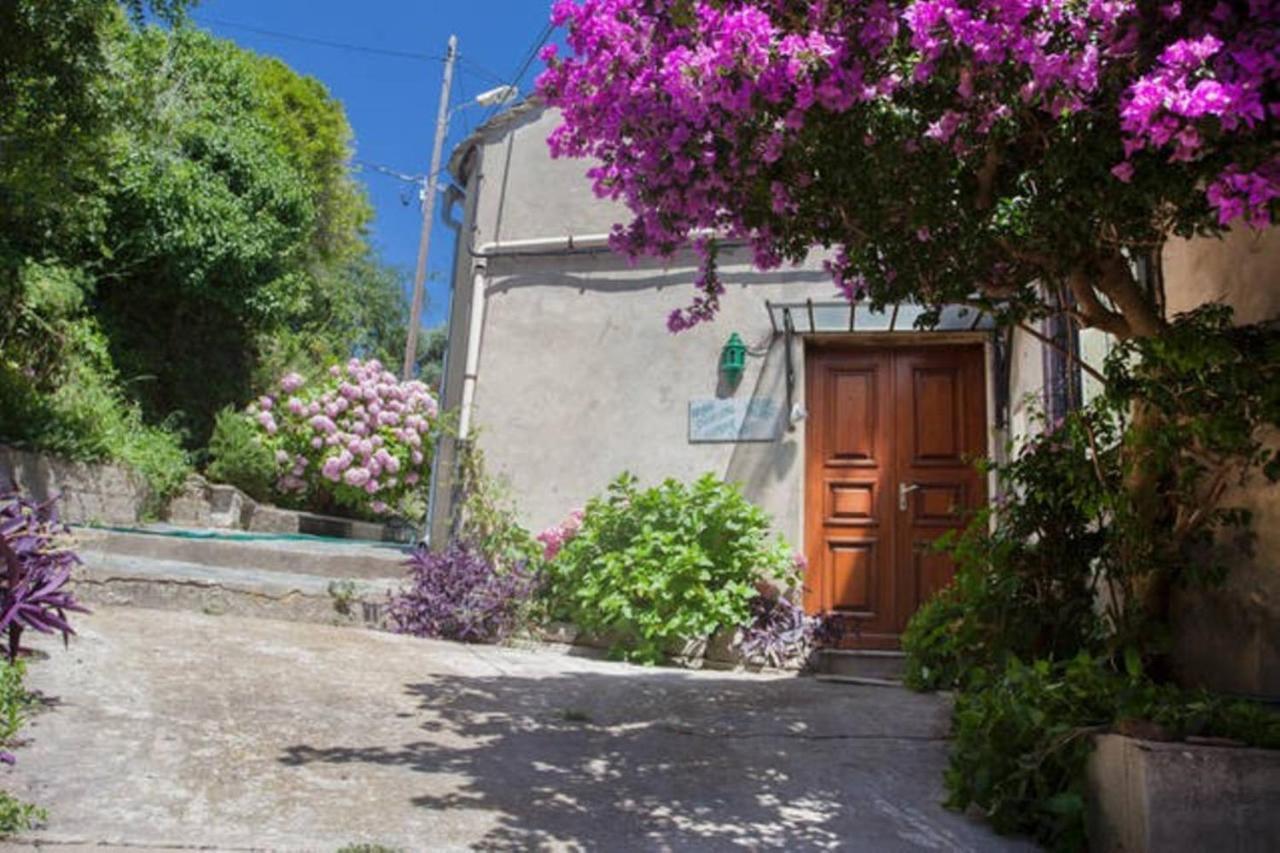 Maison Simonpietri Cagnano Dış mekan fotoğraf